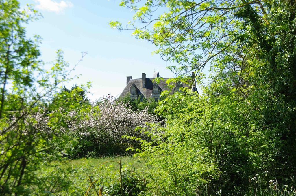 Hôtel Chateau De Vermette à La Chapelle-Gaudin Extérieur photo